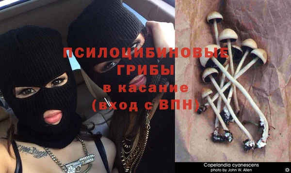 дистиллят марихуана Шадринск