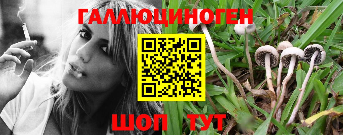 Омск  Галлюциногенные грибы Psilocybine cubensis  Вход с VPN 
