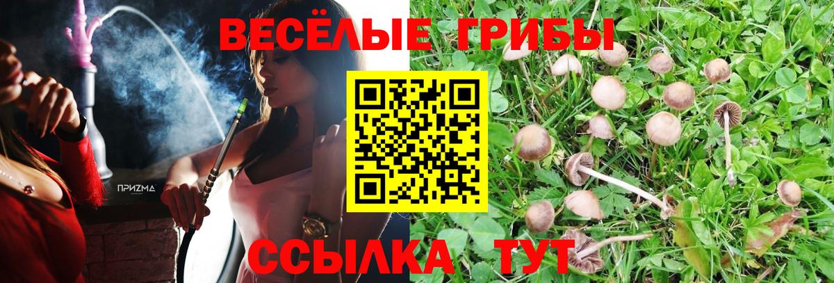 Псилоцибиновые грибы мухоморы Омск